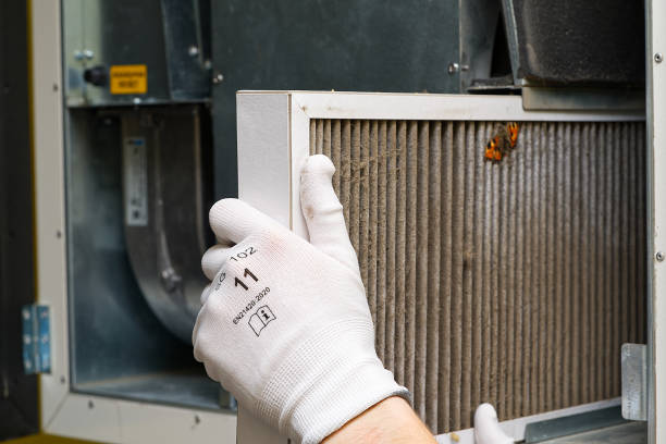 Best HVAC Duct Inspection Services  in Morristown, TN